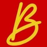 BLOOMINGDALE VISA SERVICES logo